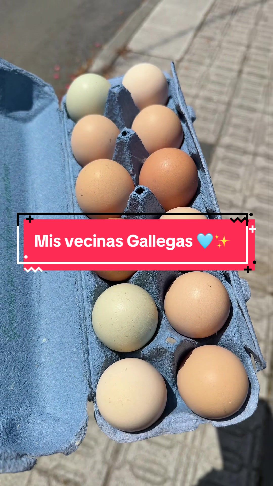 @Melissa en Galicia 🇵🇪🇪🇸