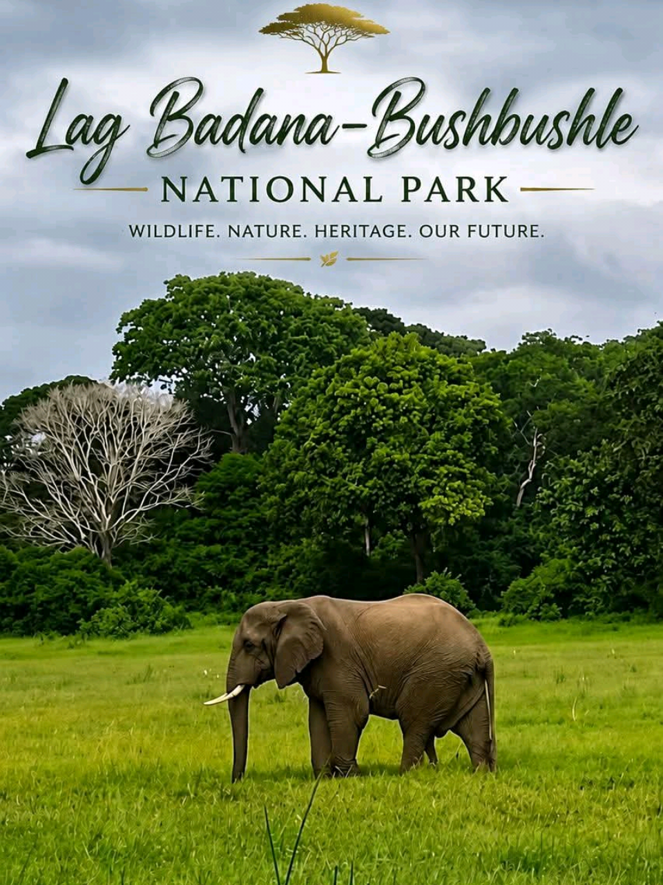 @Lag Badana C conservancy Trust