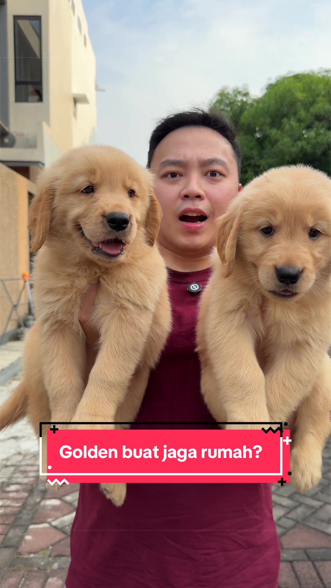 @Koko Guguk