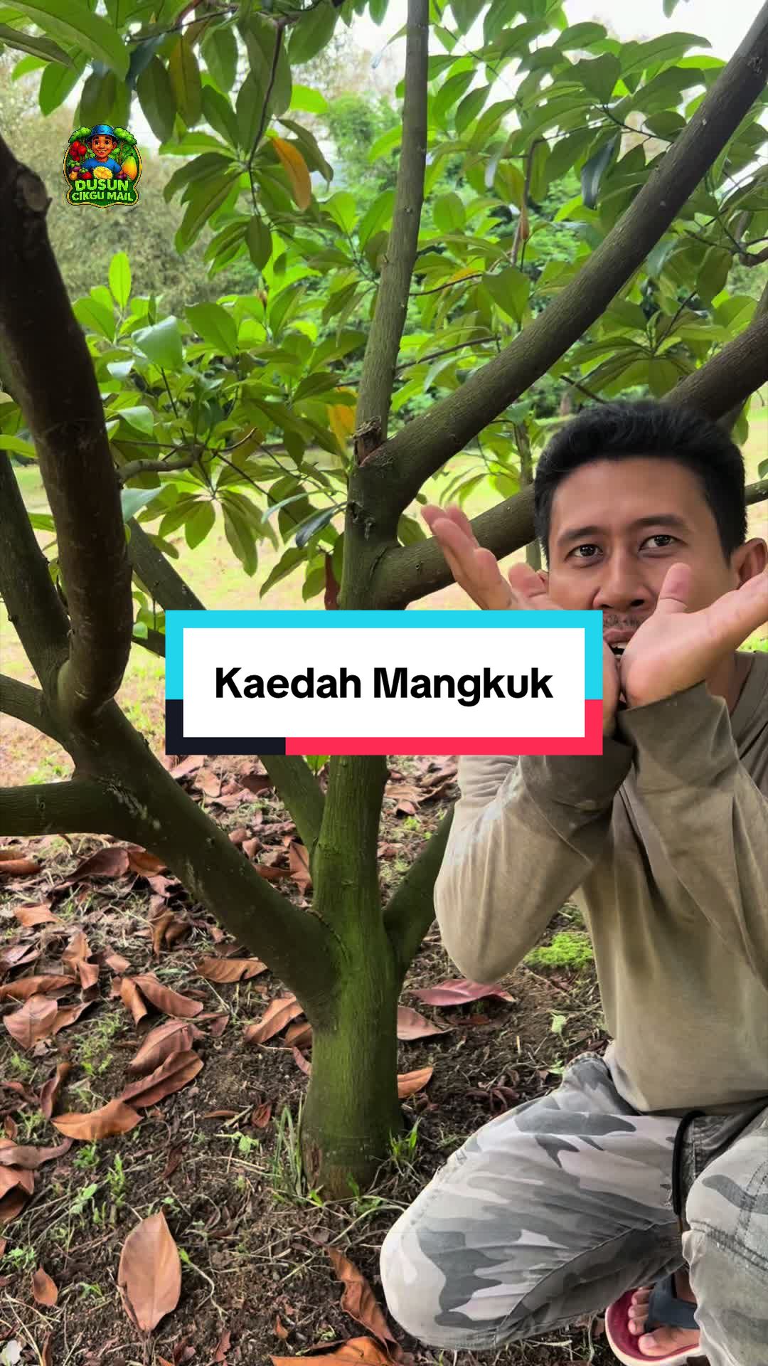 @Dusun Cikgu Mail