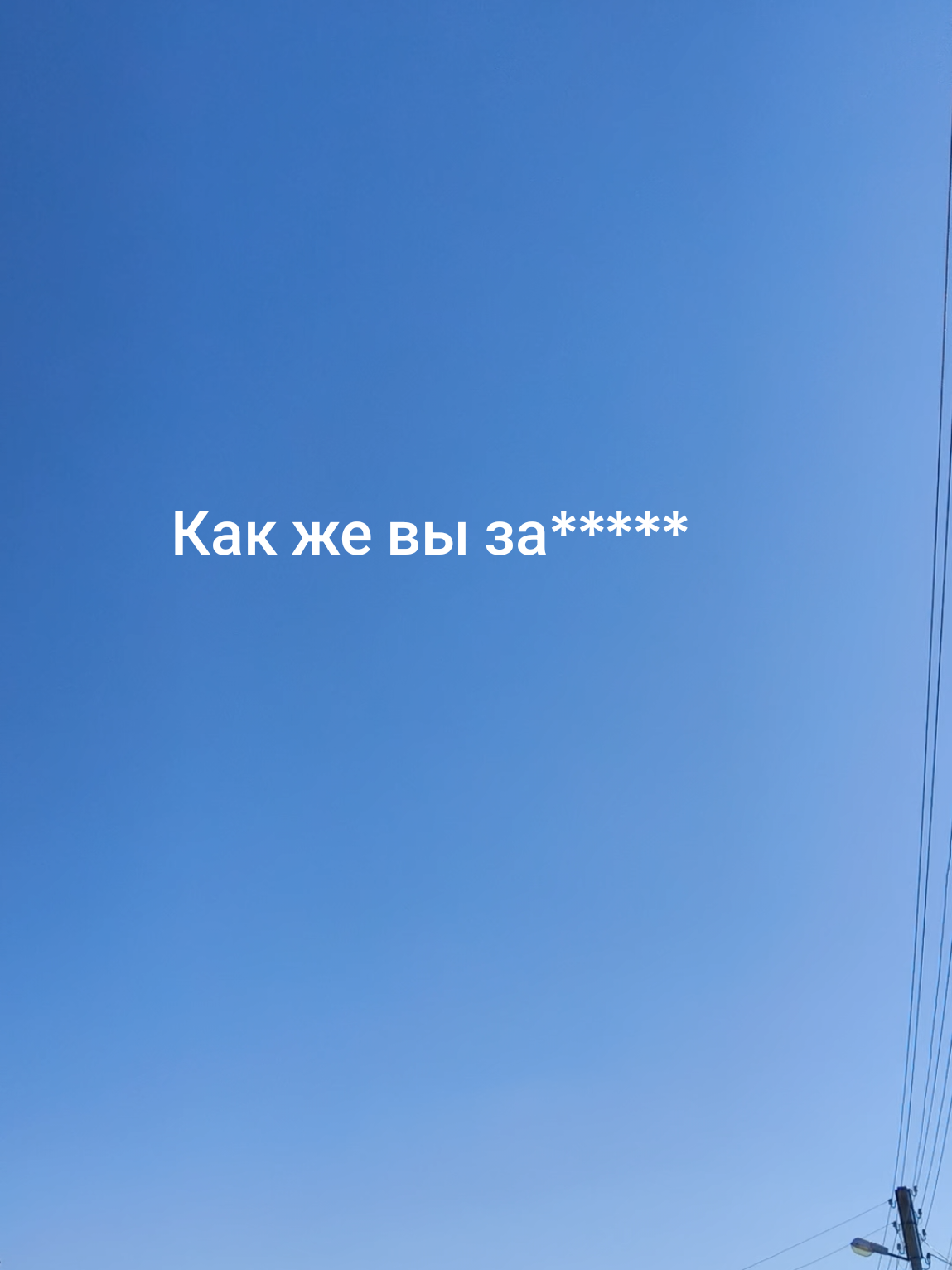 @Alena🩵