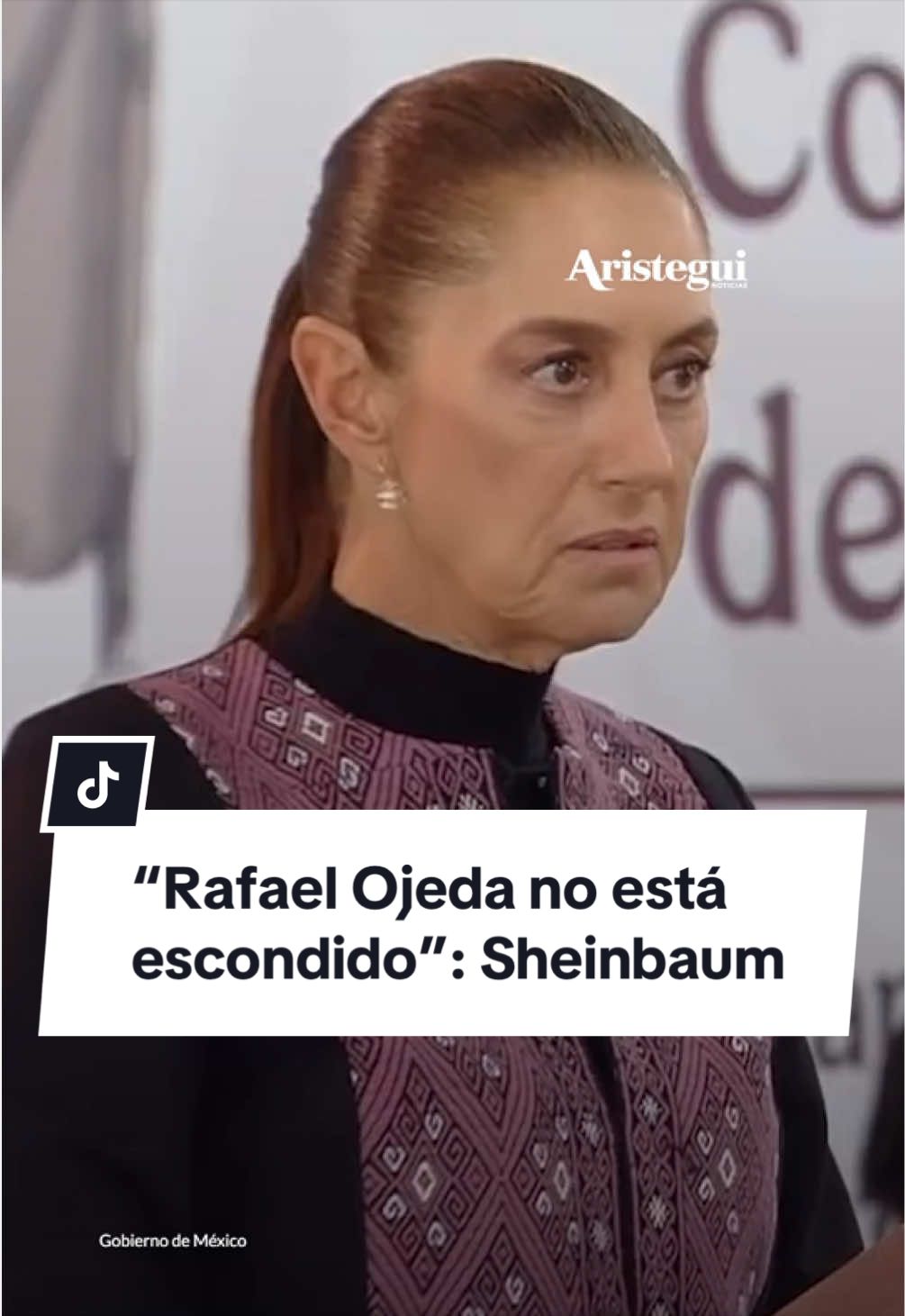 @Aristegui Noticias