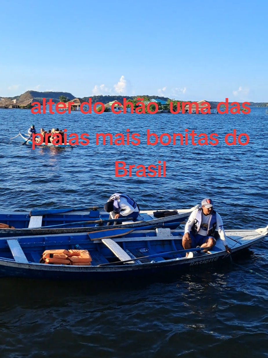 @Floresta de Areia