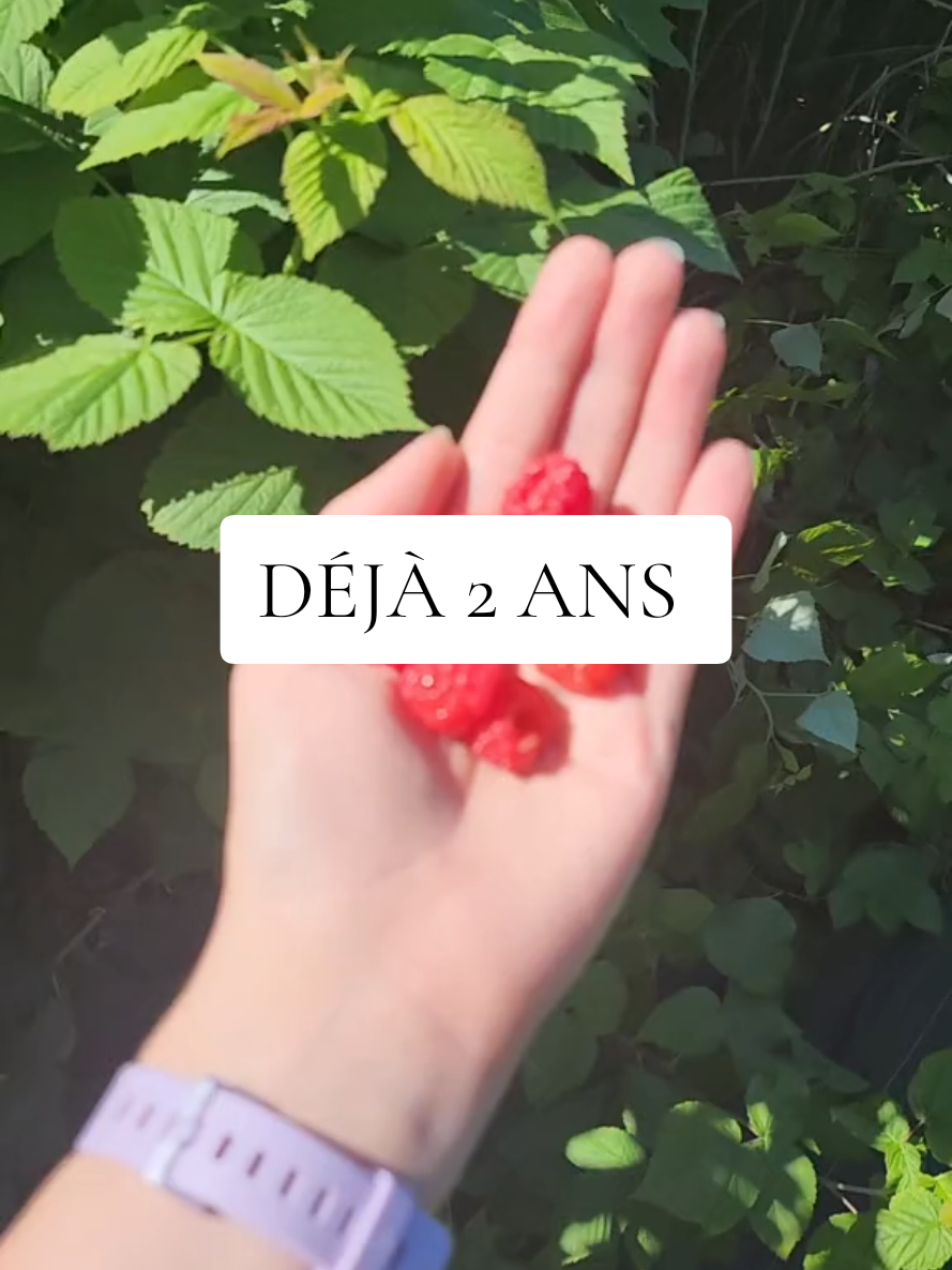@Ⲙᥱ́ᥣ&iota;ssᥲ ✨️