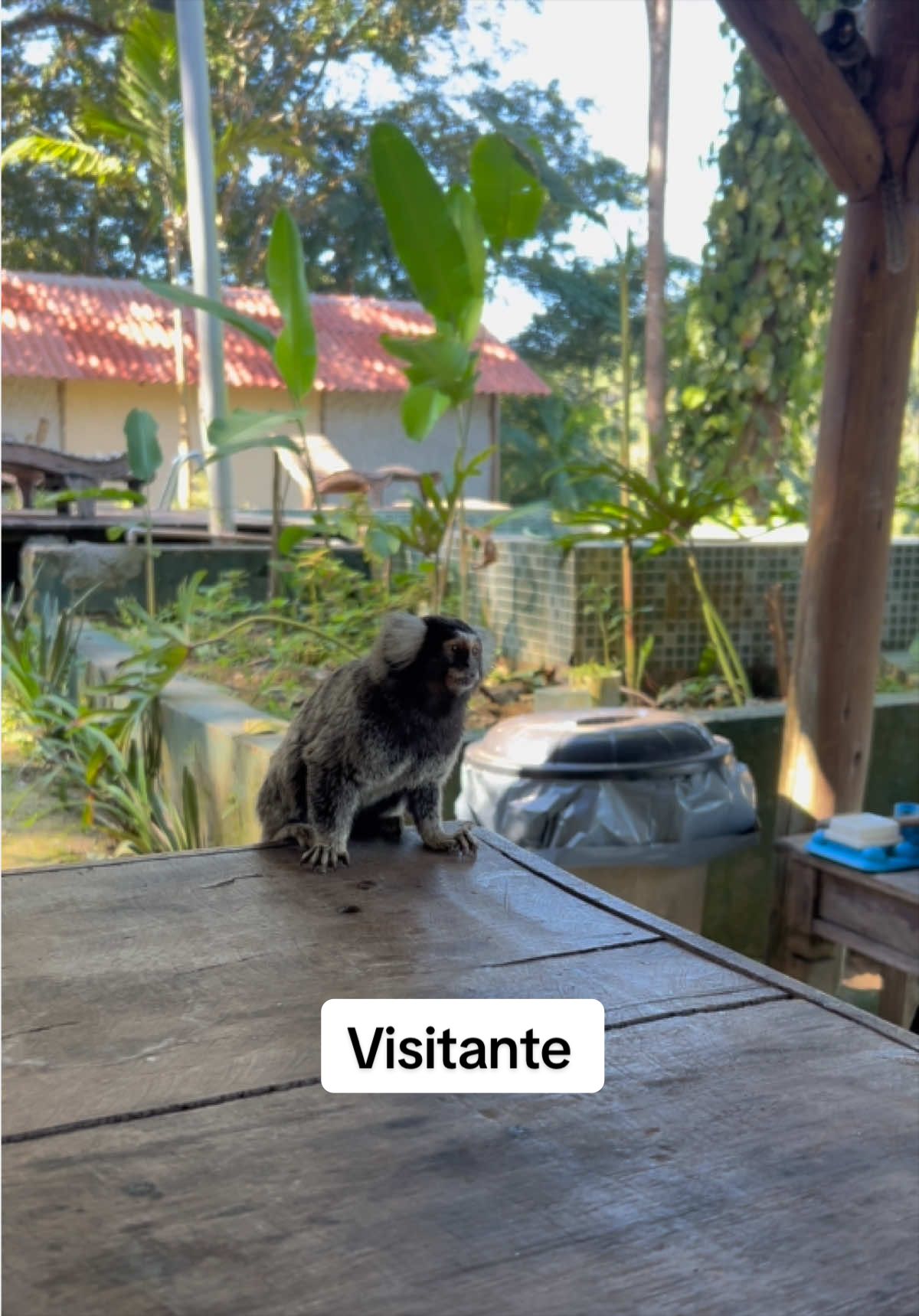 @Hugo Fernando Silva