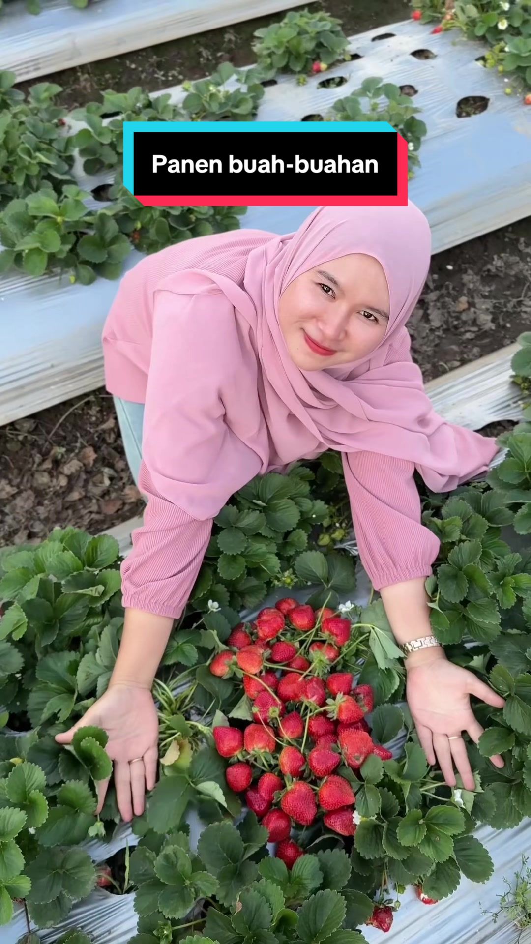 @Sulastri Mayani