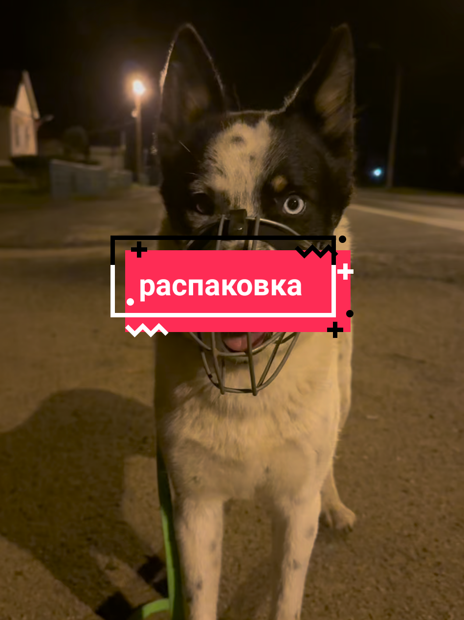 @Калыван