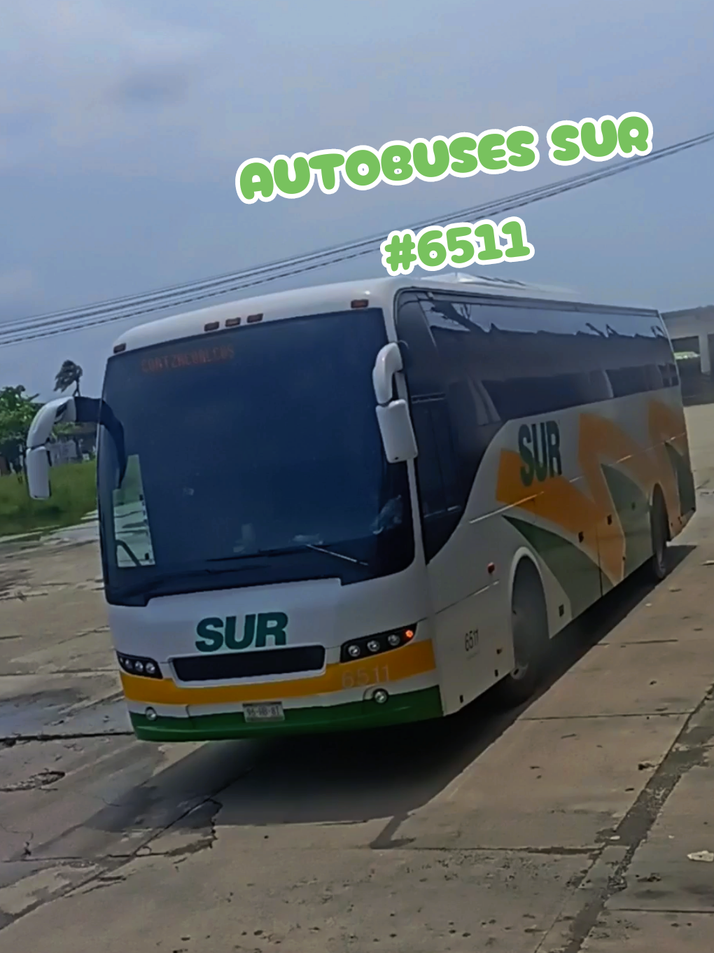 @Busologia Veracruzana 🍀🚍