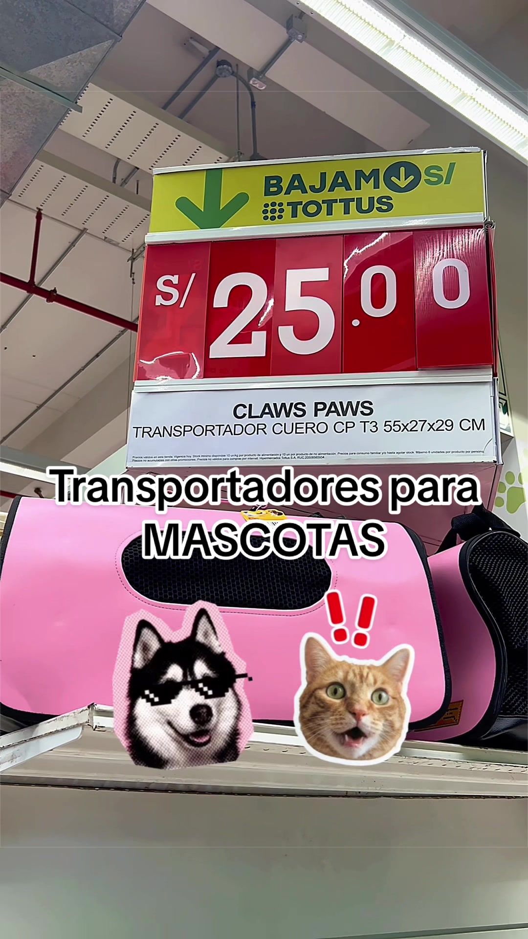 @ConPazLife