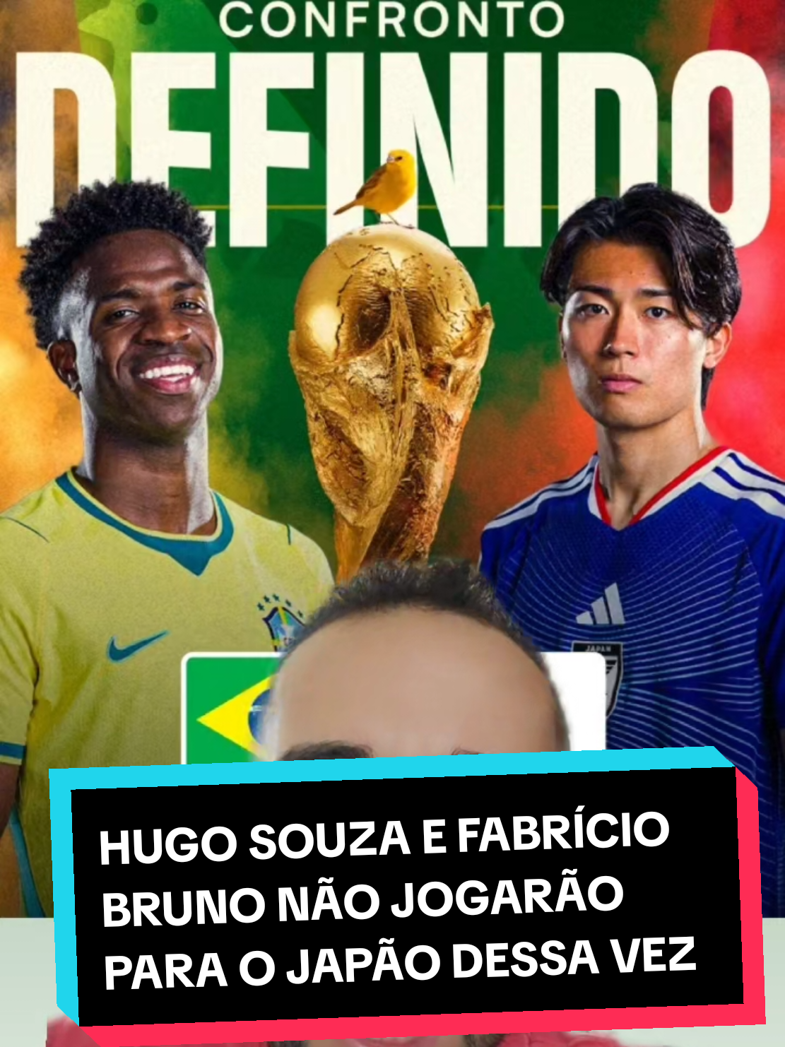 @analistaleigo