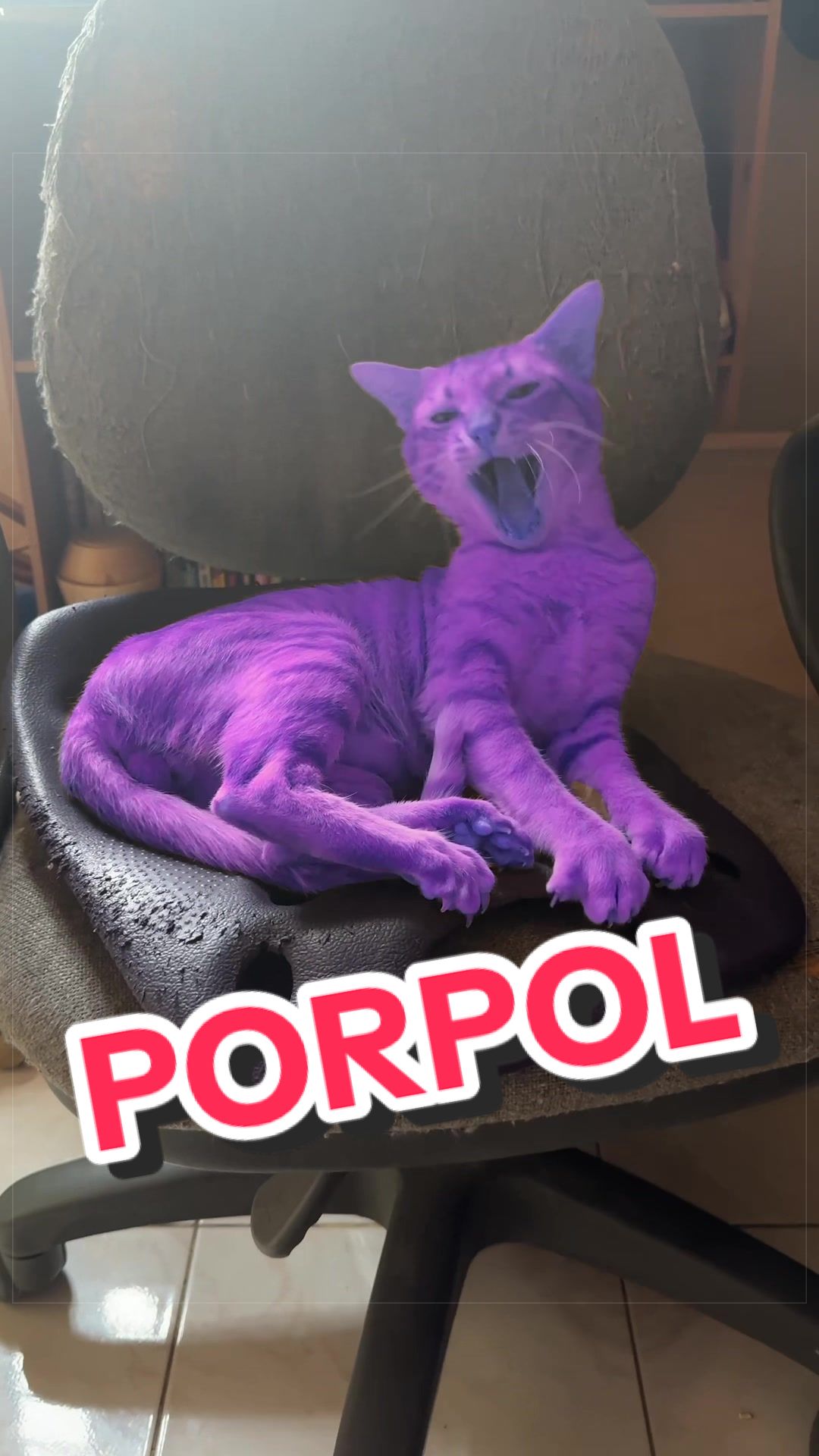 @Leet