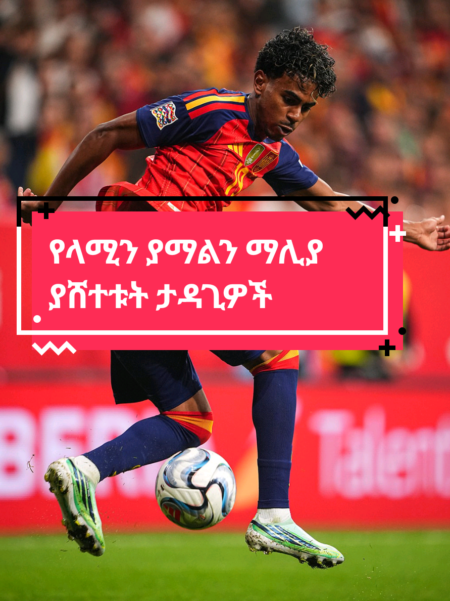 @Sham Sport
