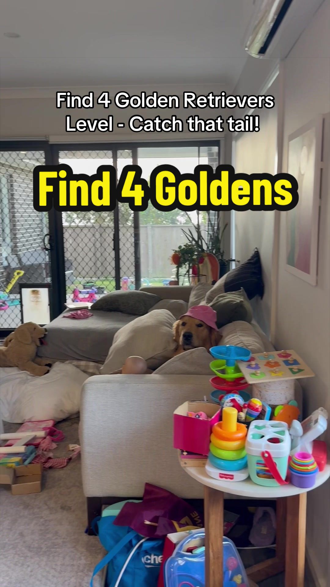 @3goldenretriever
