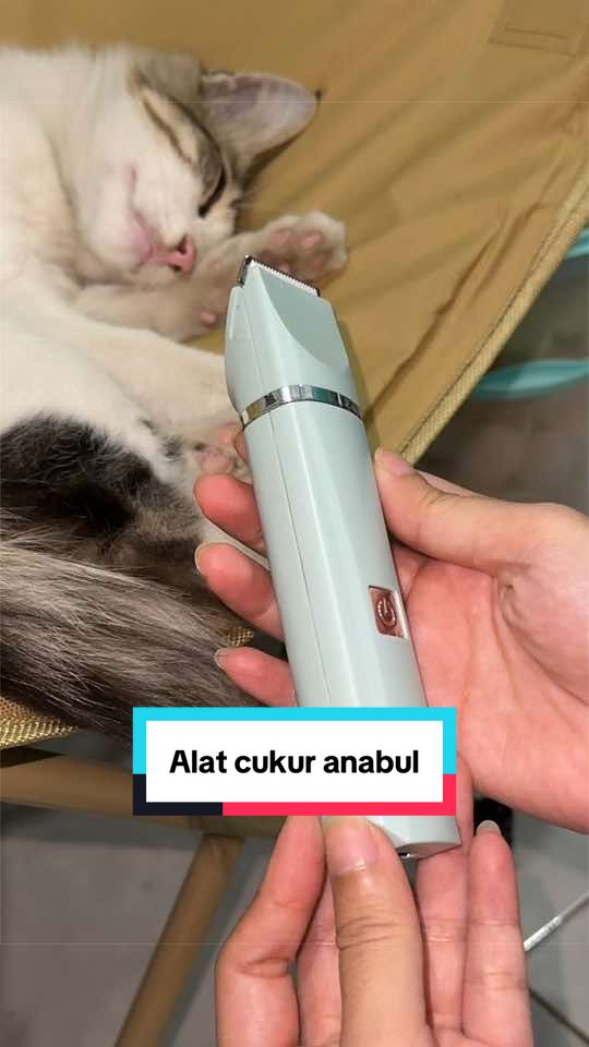 @diracuninmilly