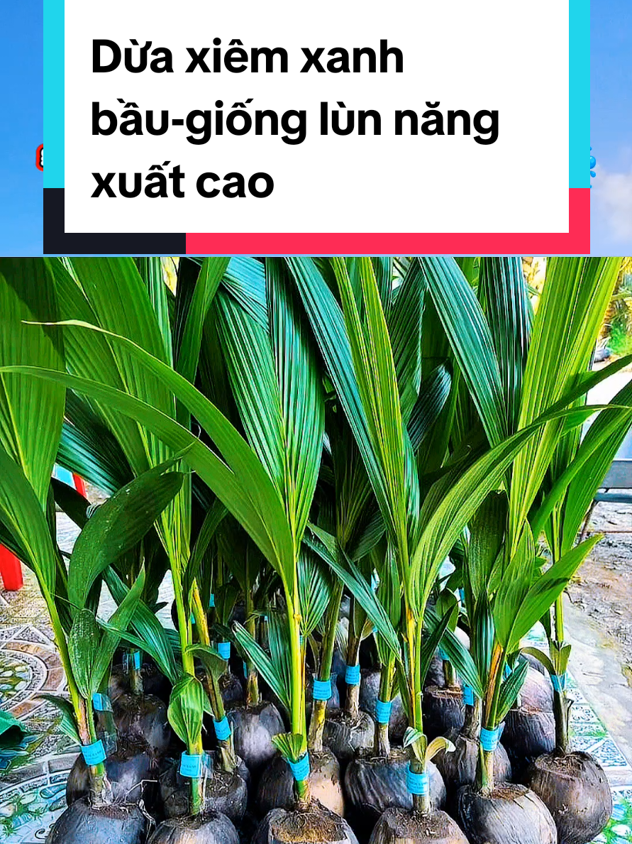 @@1Huyền Nguyễn