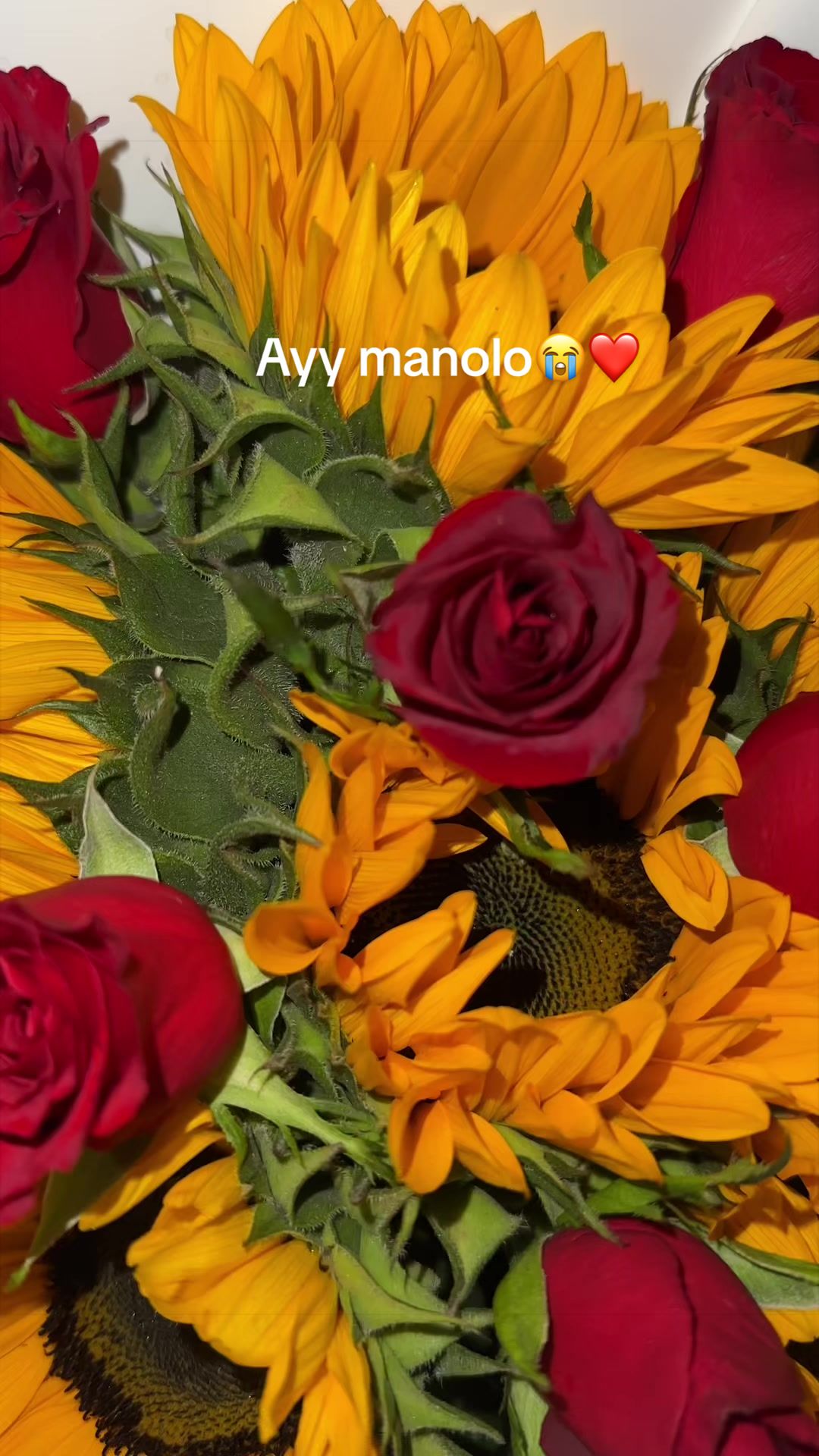 @Sio