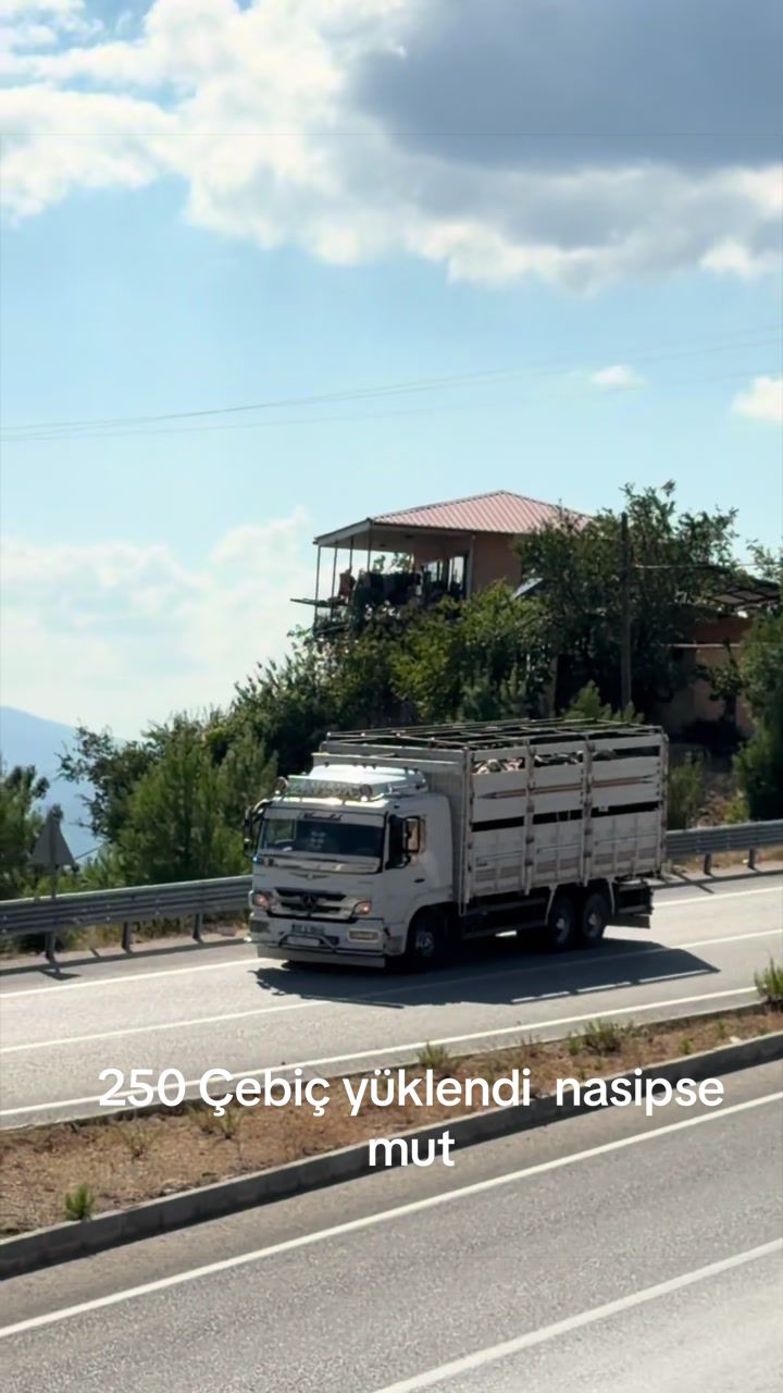 @Mehmet &Uuml;NAL