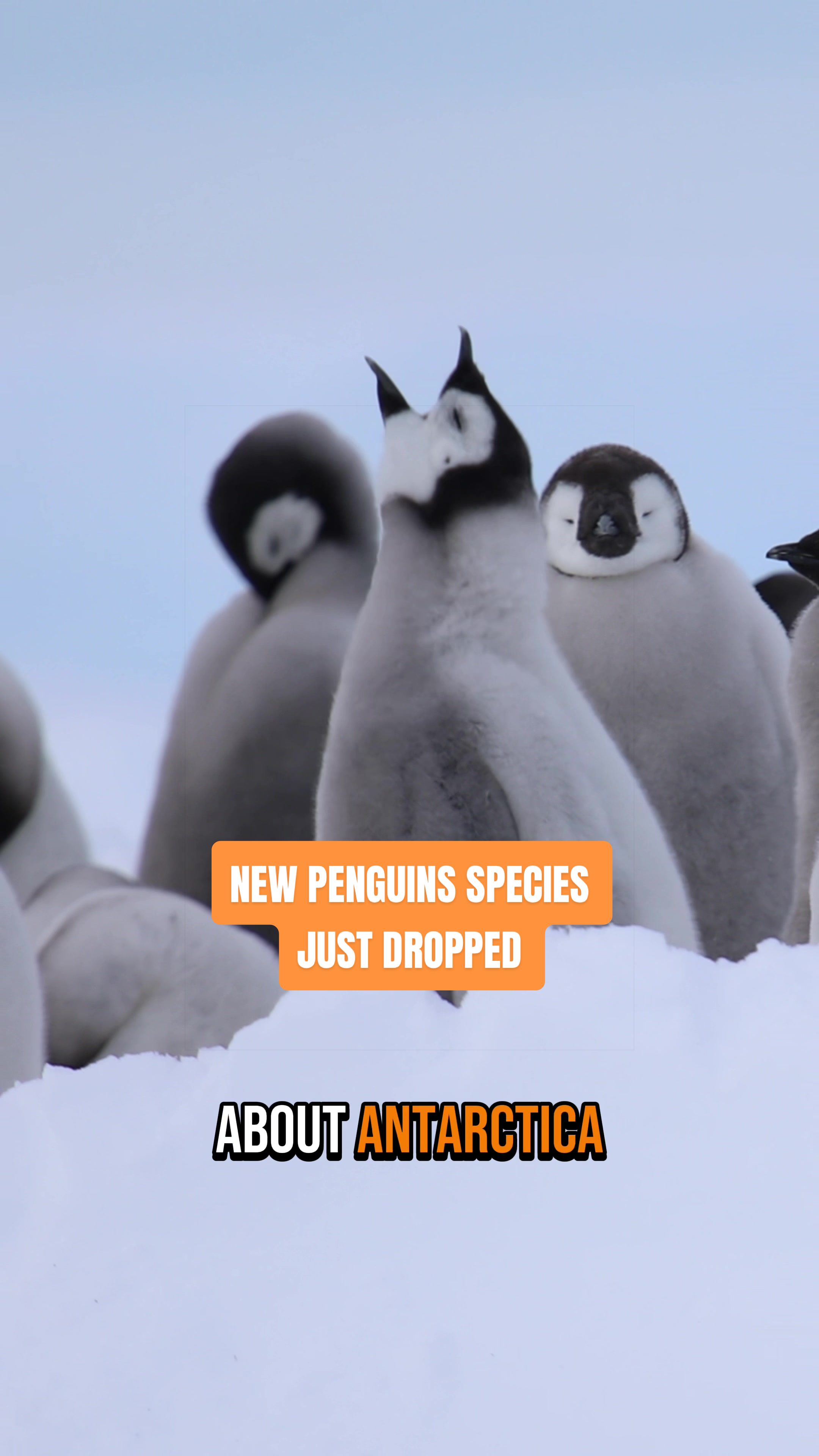 @Matty Jordan | Antarctica