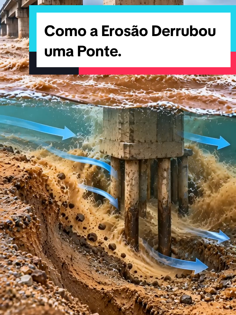 @Mundo da Curiosidades