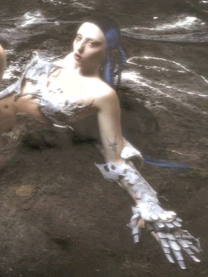 @˙ ˏ ͜͜lourenço ˳݂