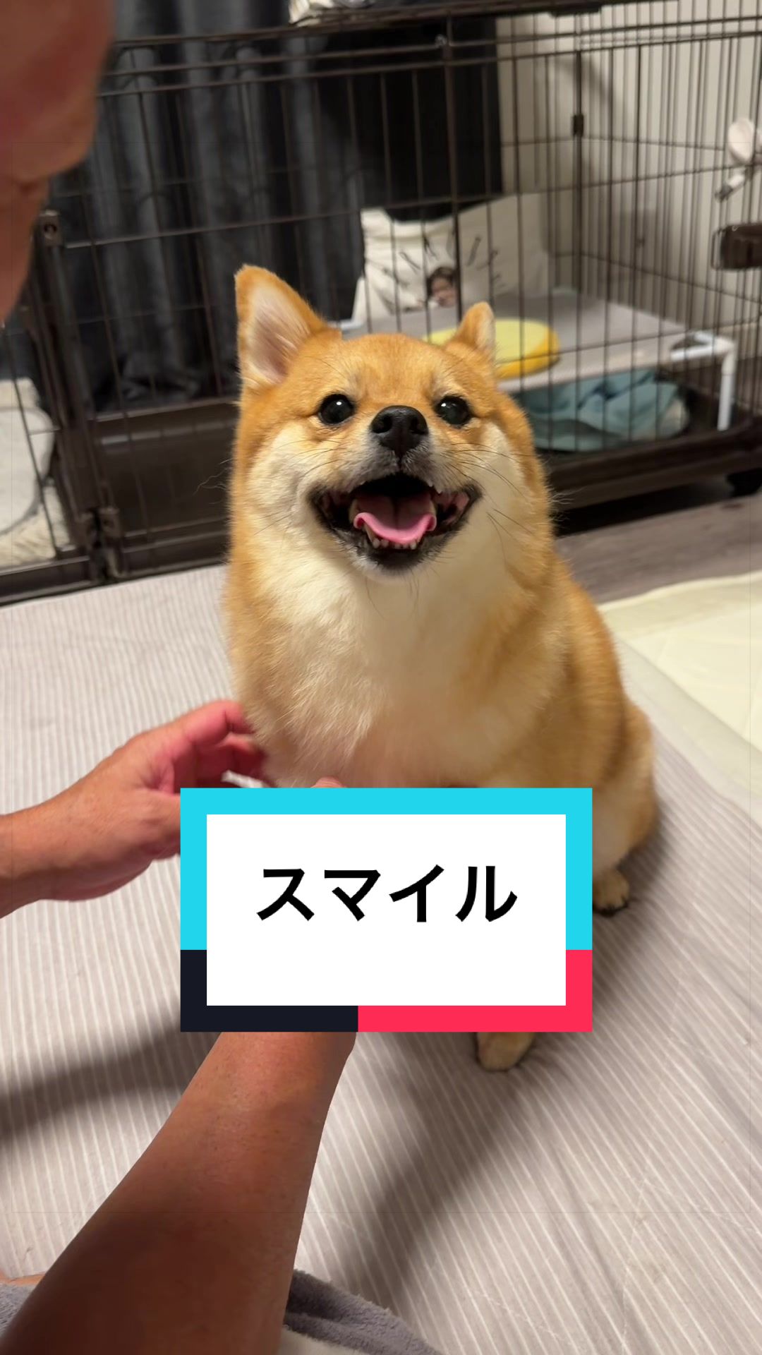 @🐶とん&ぺっぺこぺー🦊