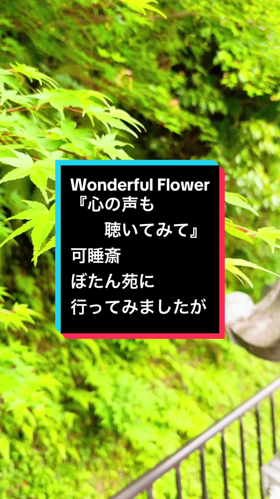 @ゆる