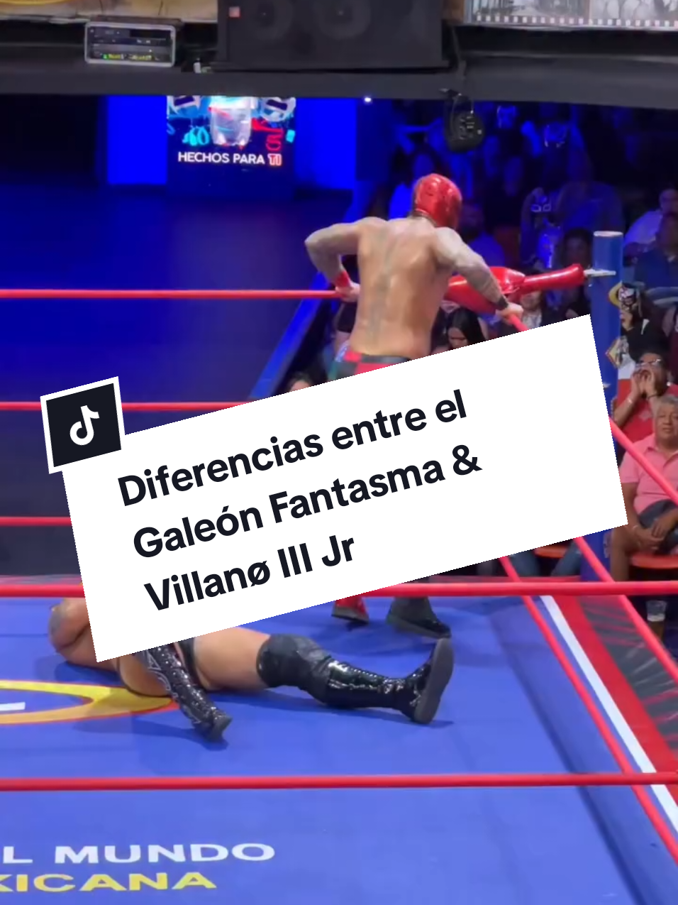 @Damas&Gladiadores Lucha Libre