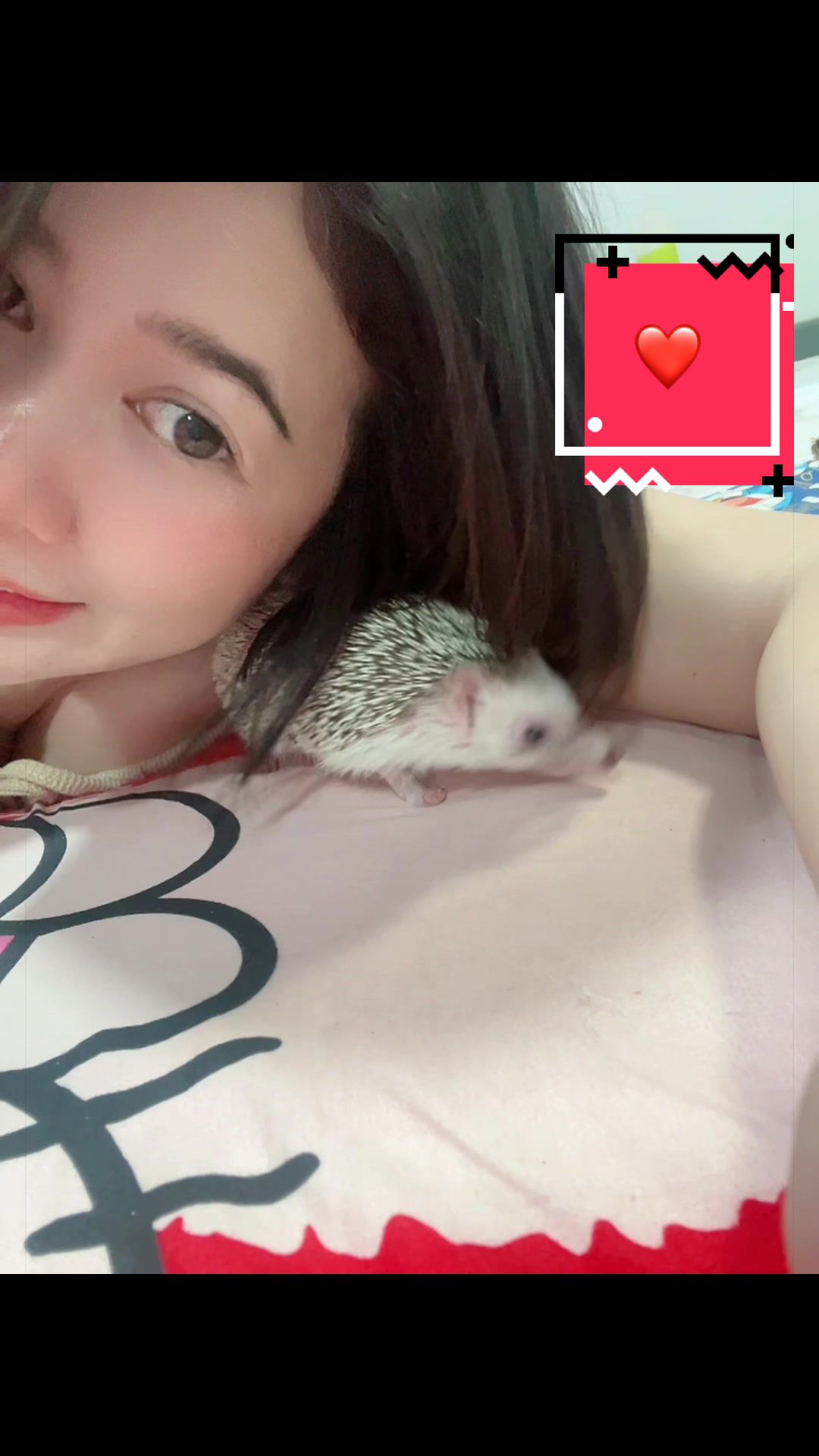 @❤️เป็ปเปอร์หมูจู๊ด❤️