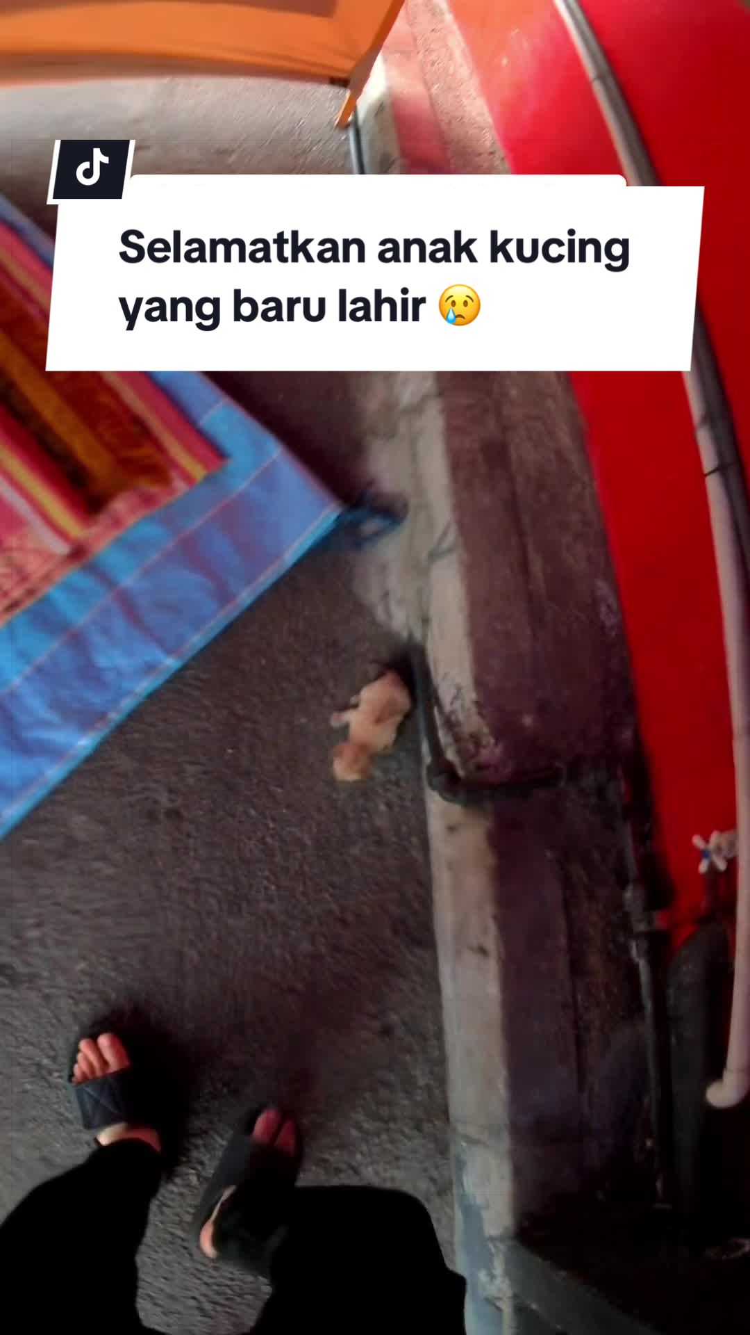 @Oppa Zuzu