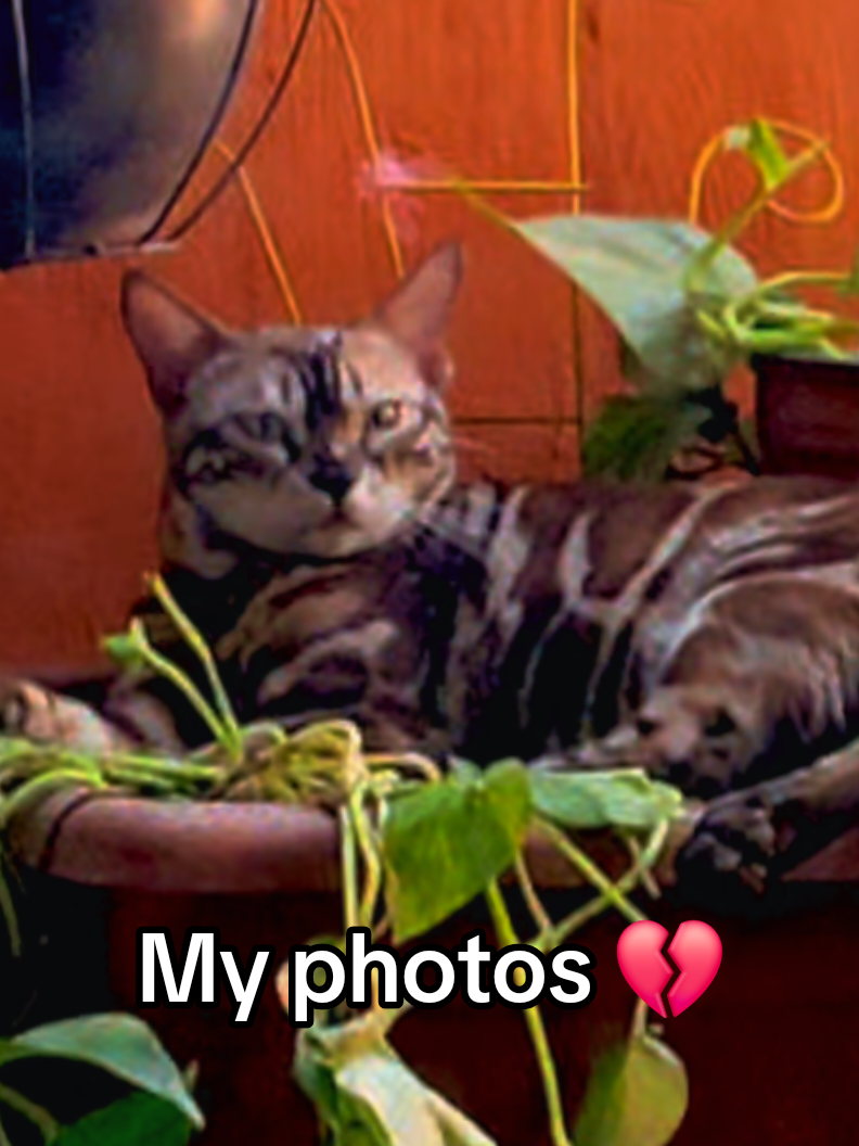 @𝓩𝓪𝓵𝓵𝔂 𝓓𝓲𝓮𝓴𝓶𝓪𝓷𝓷