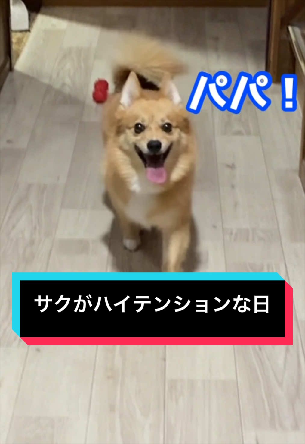 @サクサクビスケット