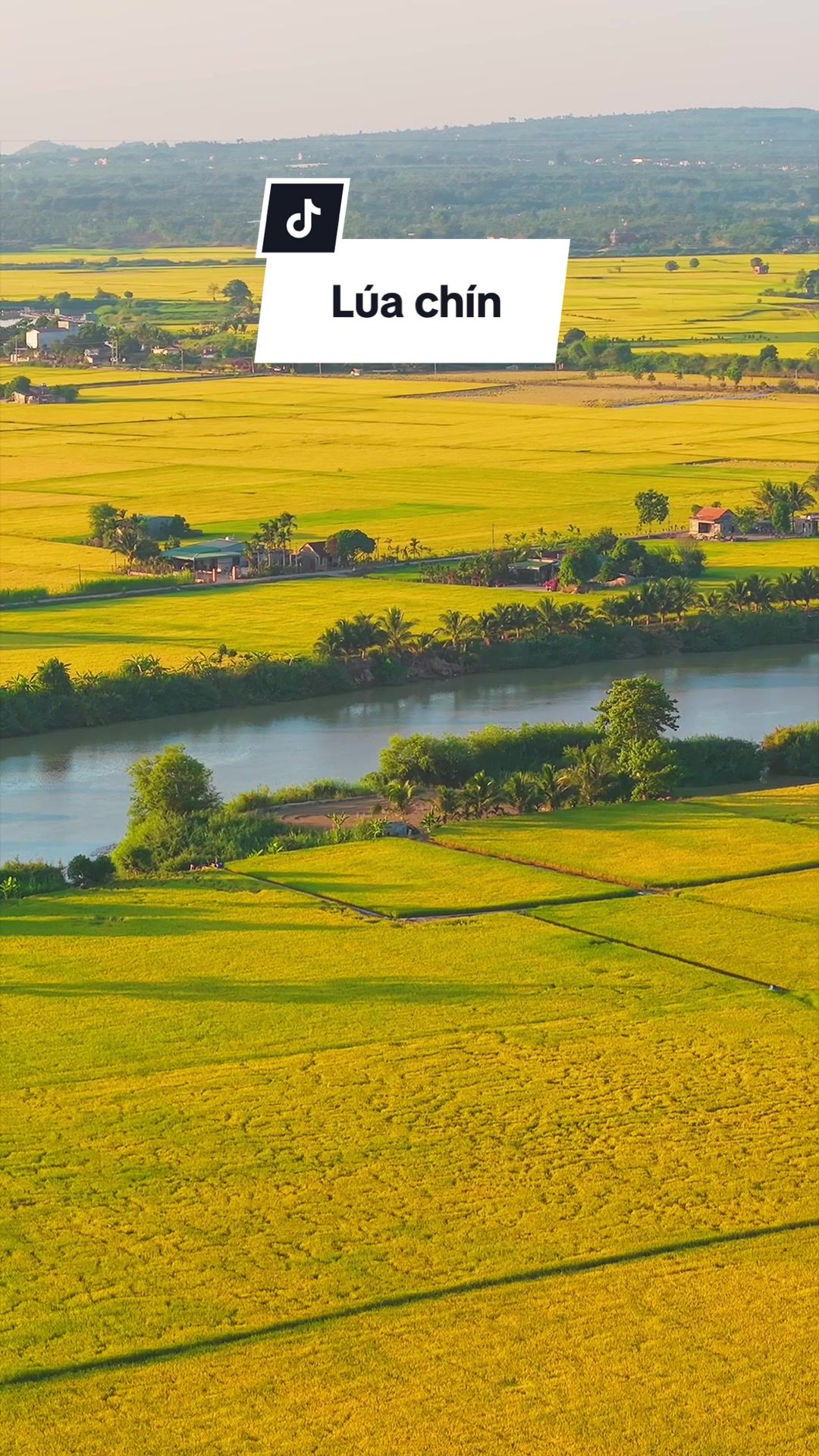 @Tuấn th&iacute;ch bay