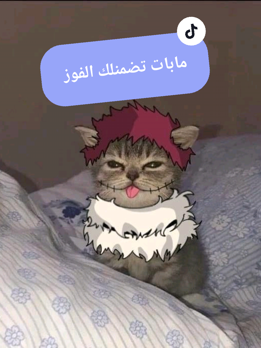 @فخر شارلوت