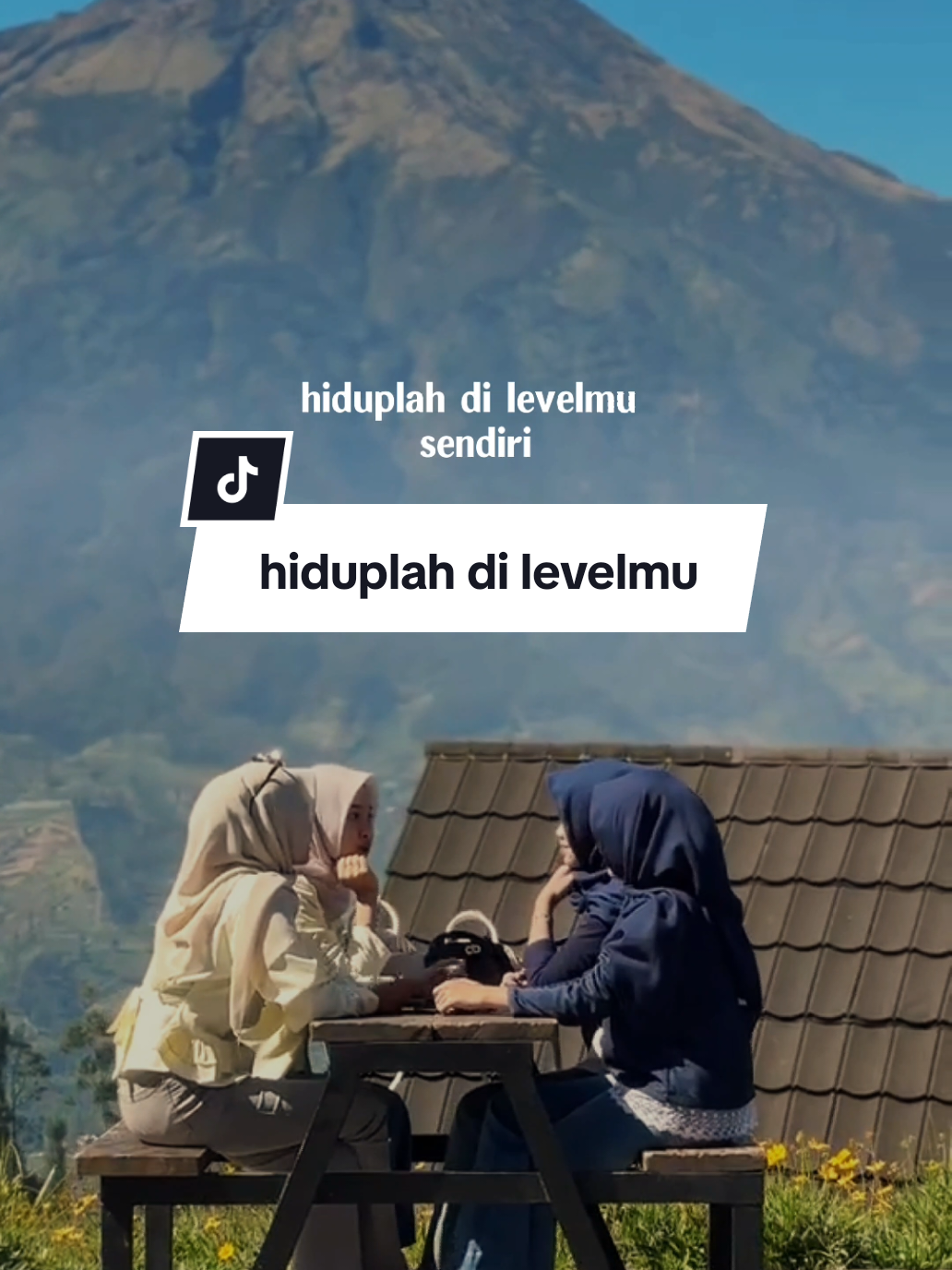 @SHY