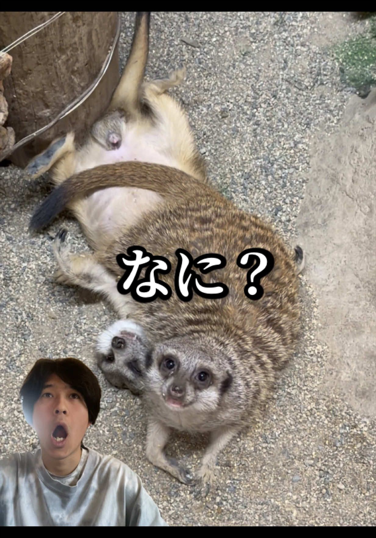 @草津熱帯圏