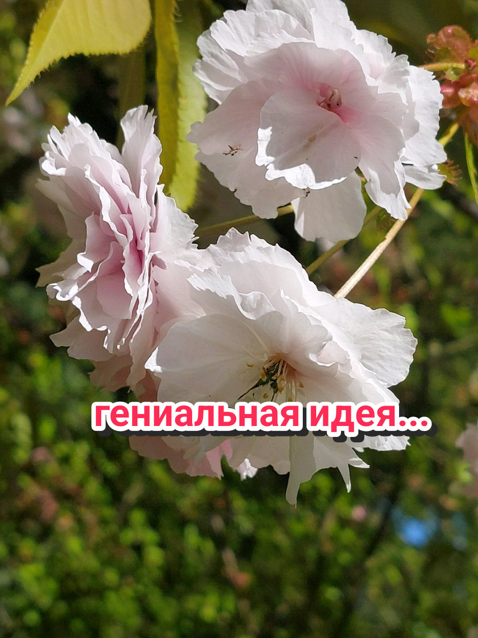 @Рыся✔️🇧🇾