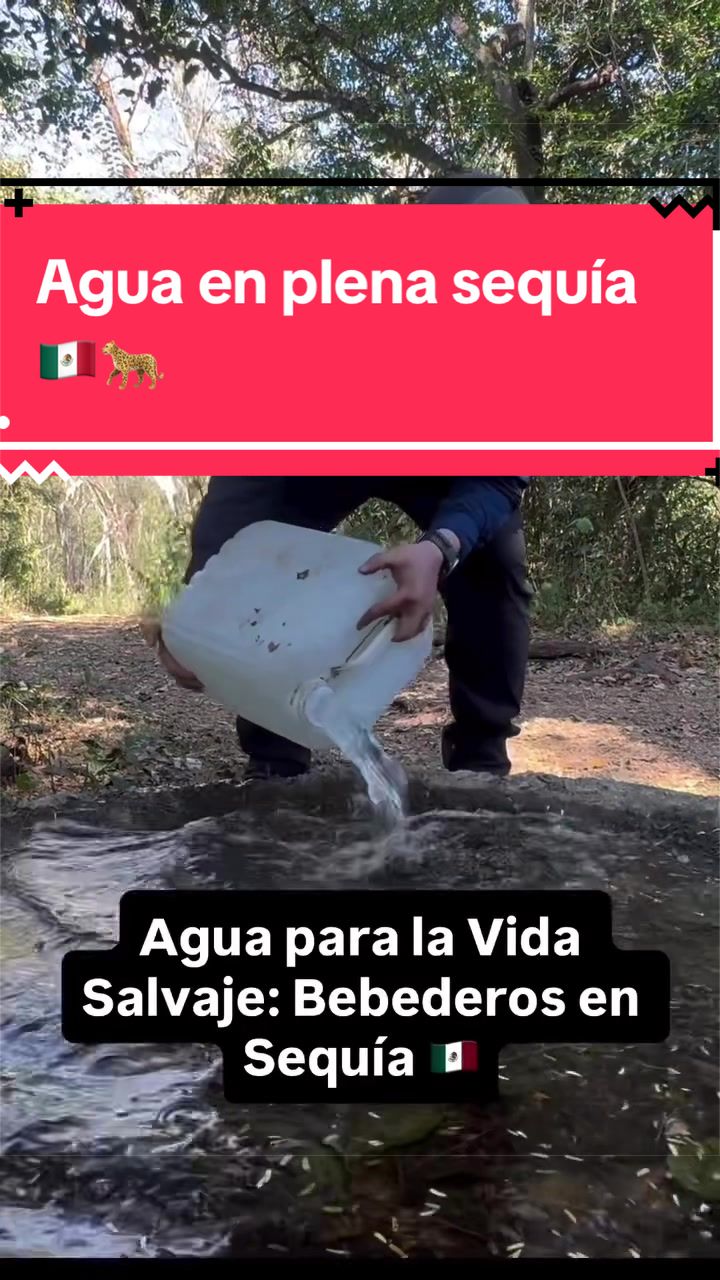 @Jorge Urbiola