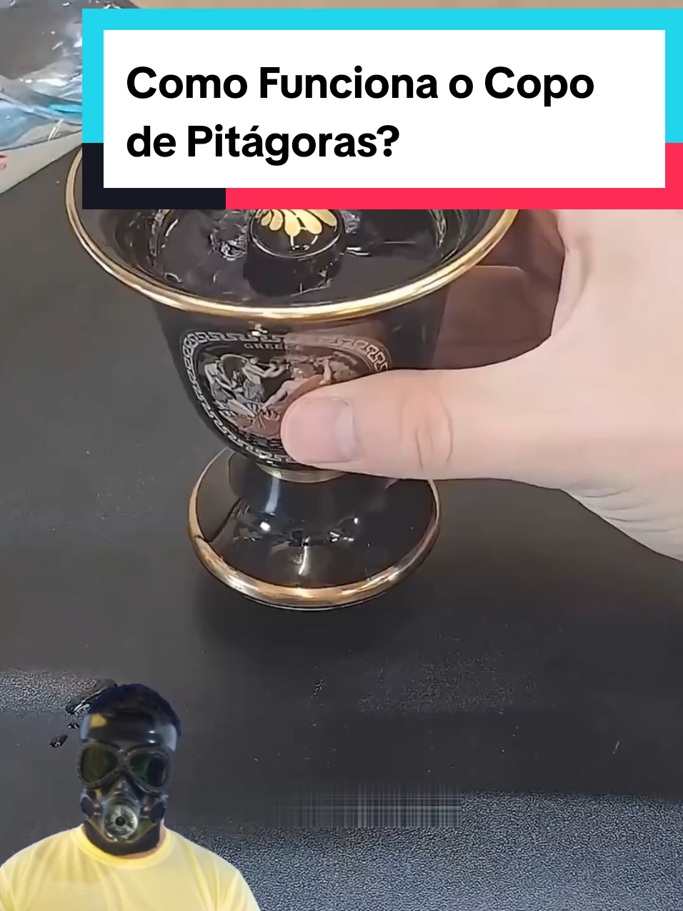 @Mundo da Curiosidades