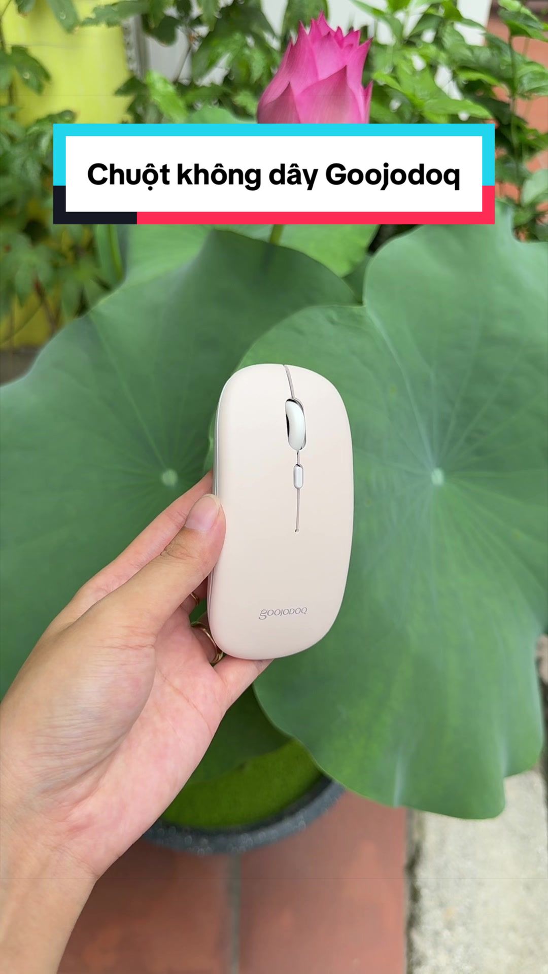 @Tuấn Bình Thường