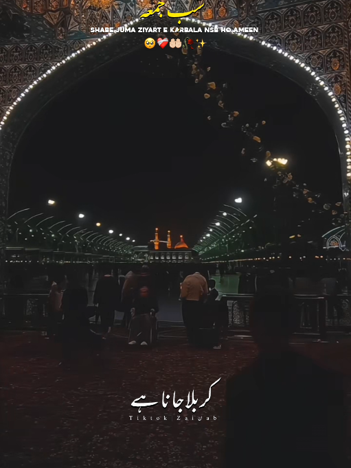 @𝐙𝐀𝐈ن𝐀𝐛ރ