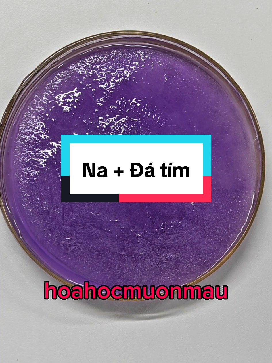 @hoahocmuonmau