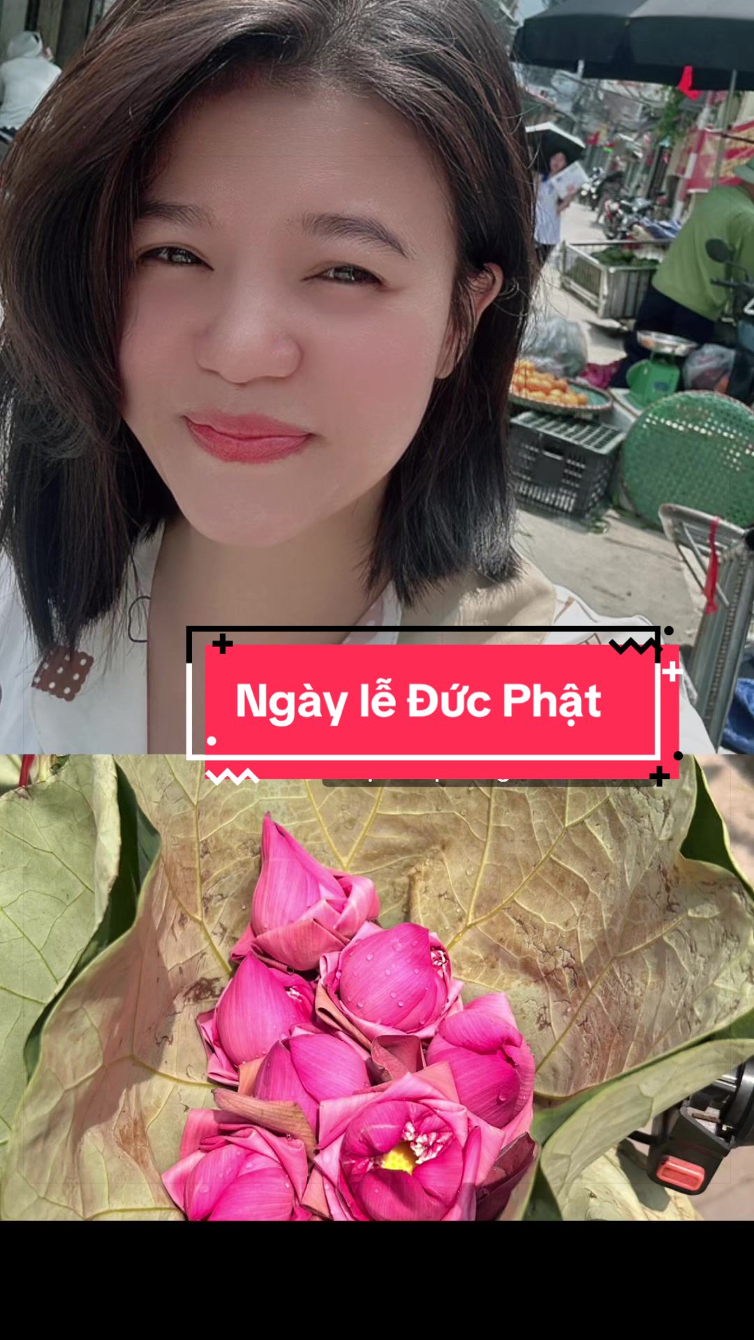 @Giađ&igrave;nh TậpTu