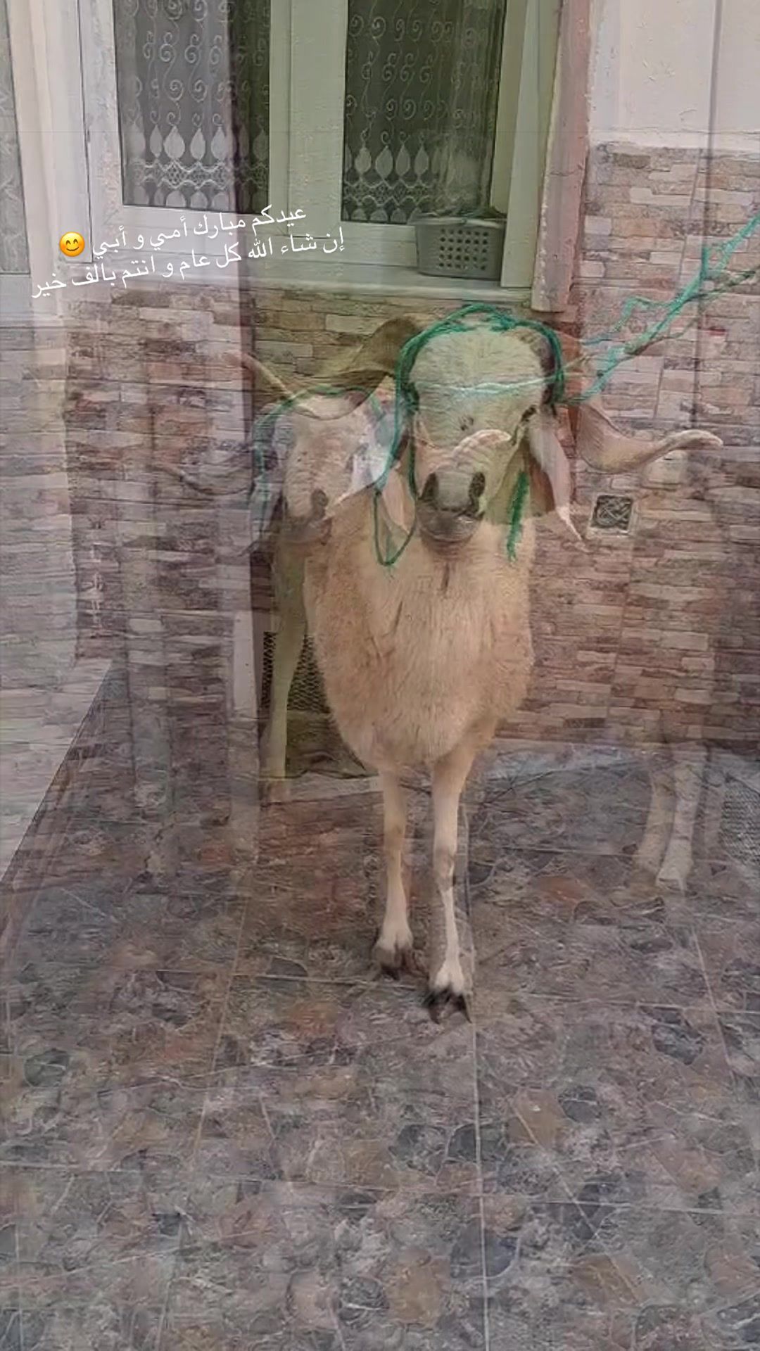 @Čh&atilde;r&oslash;&uuml;f&atilde; B&ouml;&uuml;gh&aring;l&euml;m