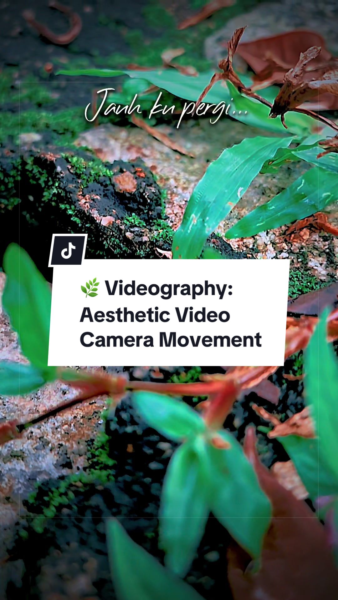 @Muhammad | Videographer