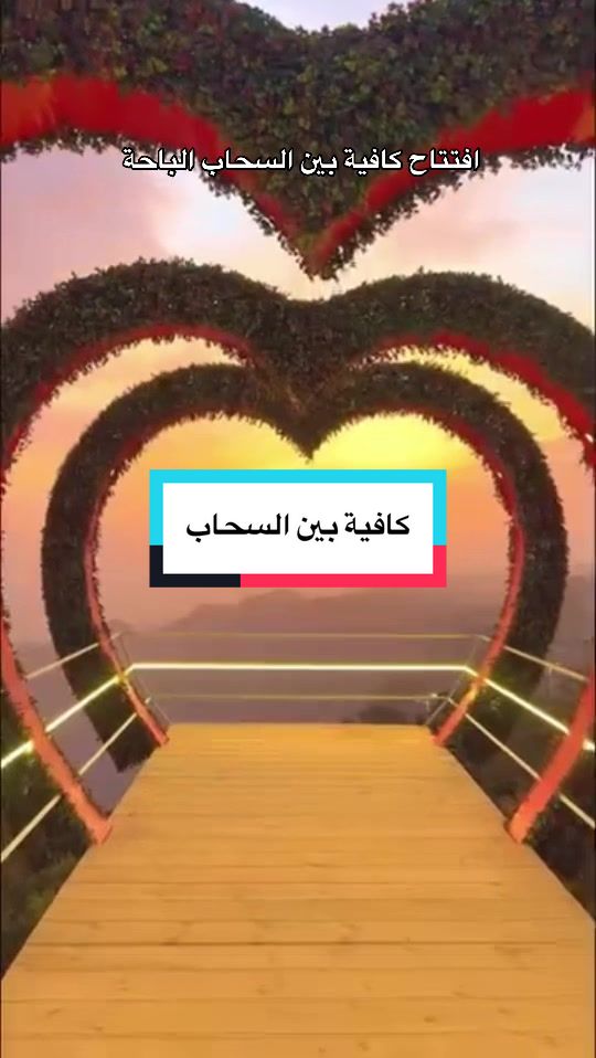 @محمد الشحي ✈️🇦🇪