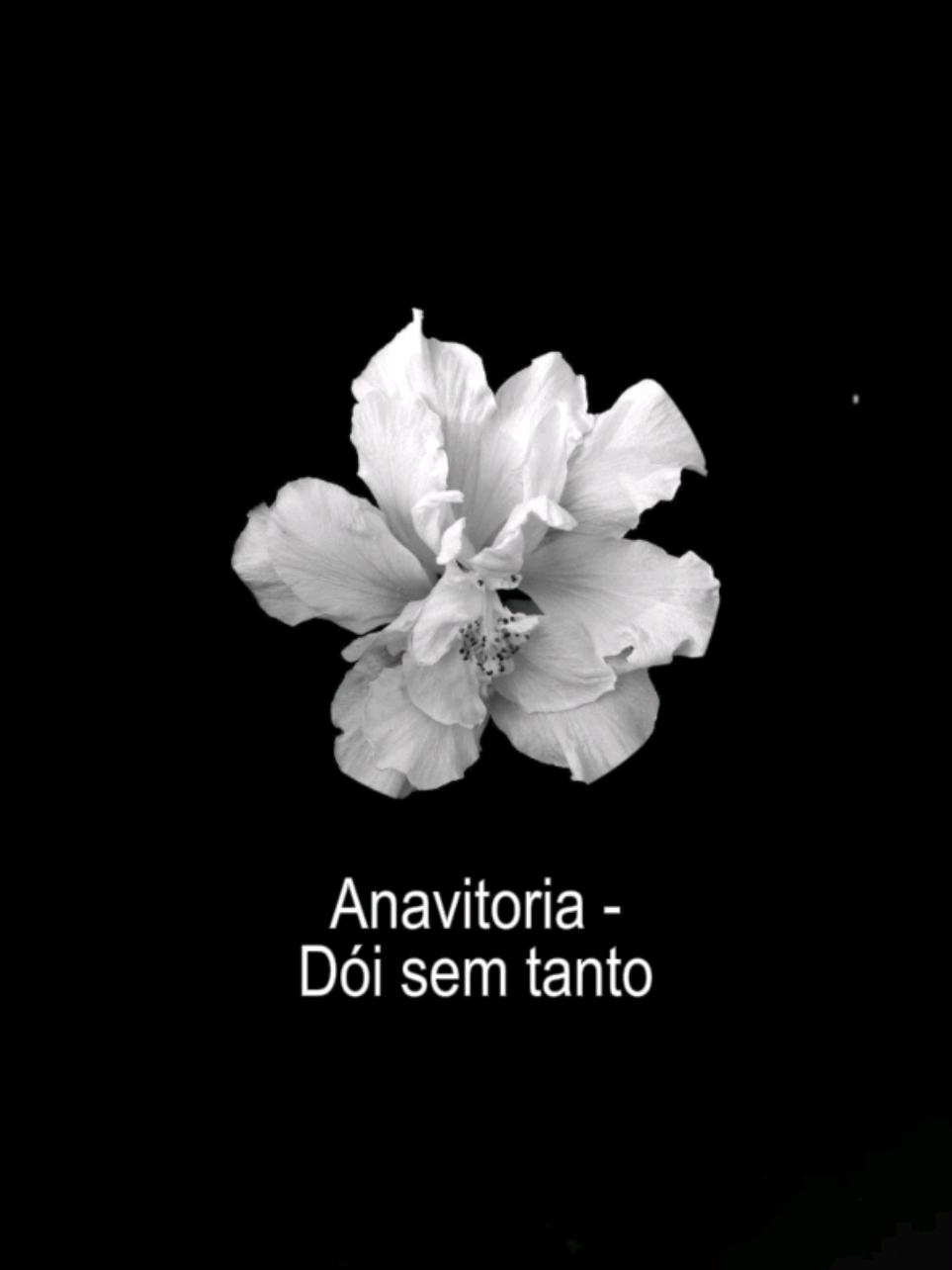 @𝐕enus 𝐒ongs. 𖦤₊⊹