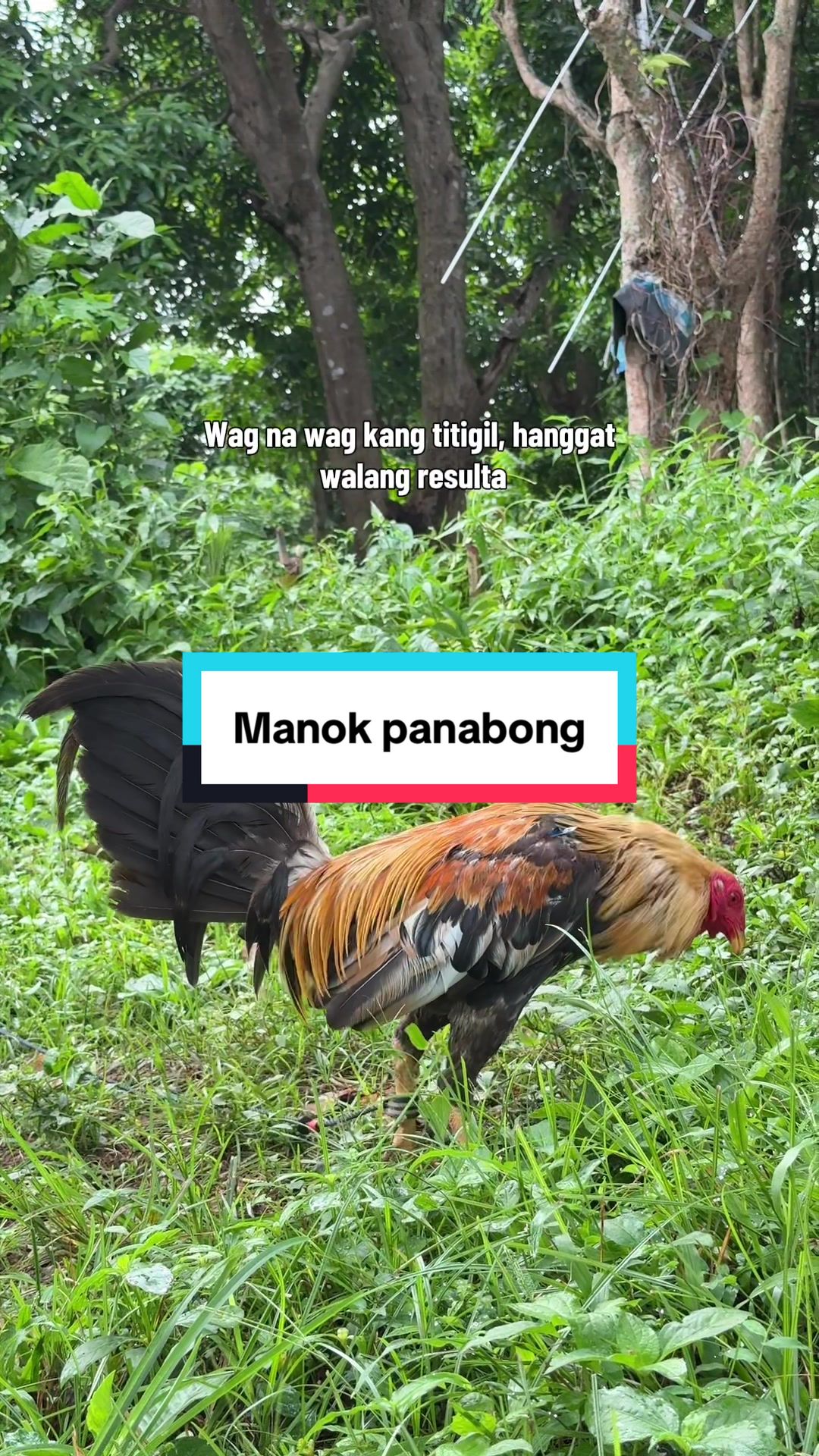 @Boss Darrel