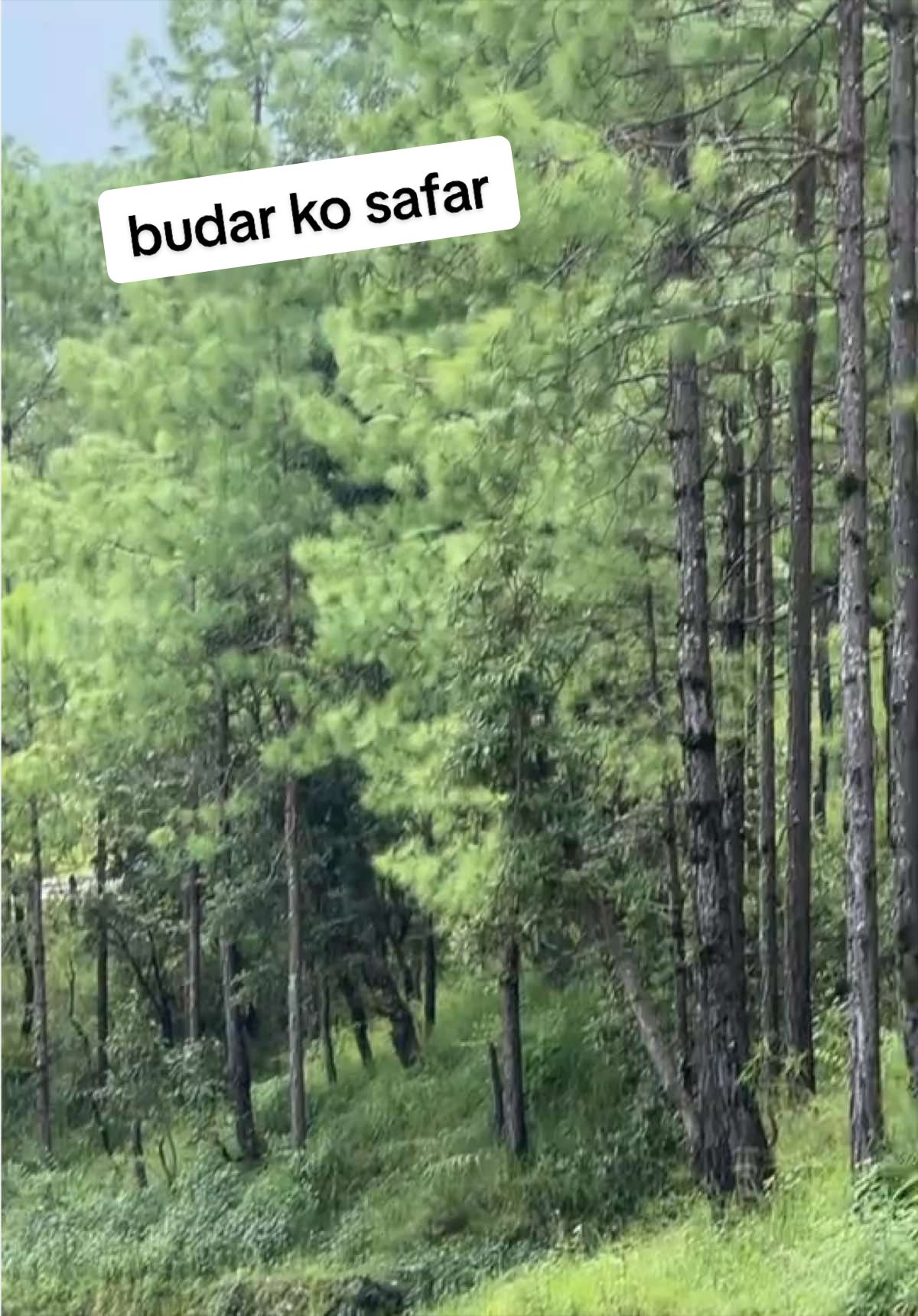 @Queen113@