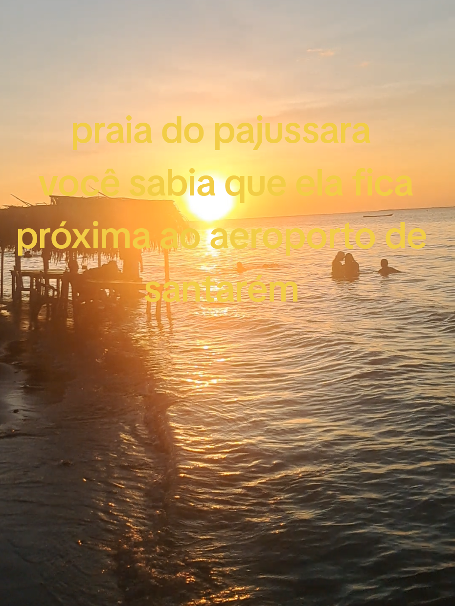@Floresta de Areia