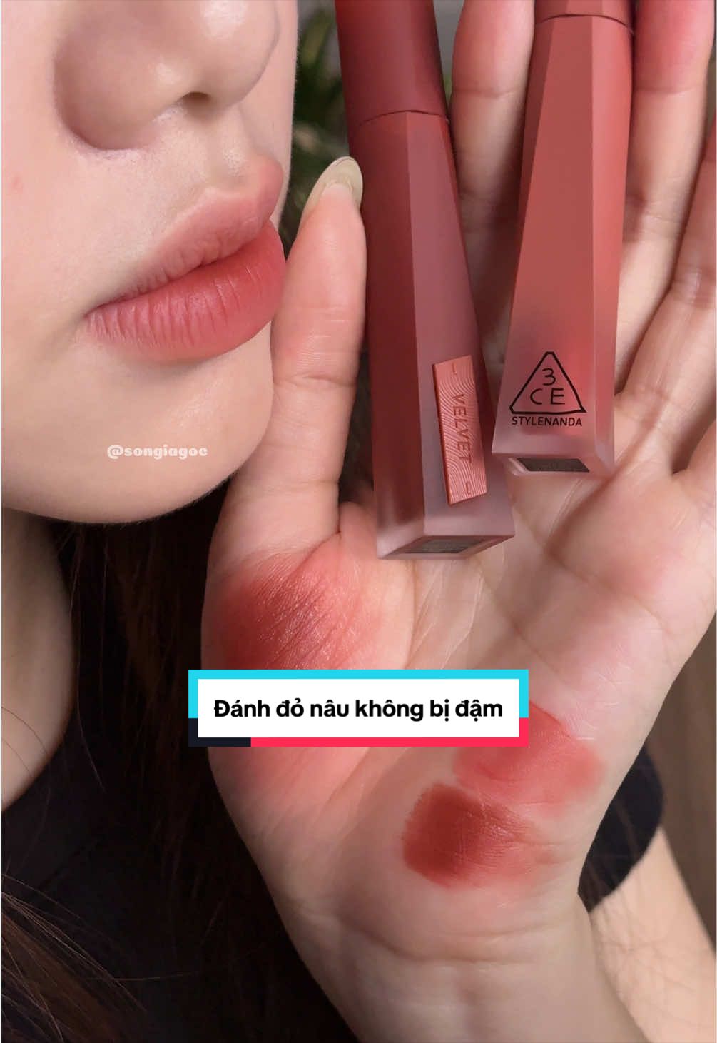 @Son Gi&aacute; Gốc